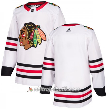 Män Ishockey Chicago Blackhawks Tröja Blank Adidas 2017-2018 Vit Authentic Män Ishockey Chicago Blackhawks Tröja Blank Adidas 2017-2018 Vit Authentic